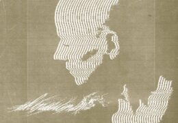 skinsewnshut - to quell this ache cover art