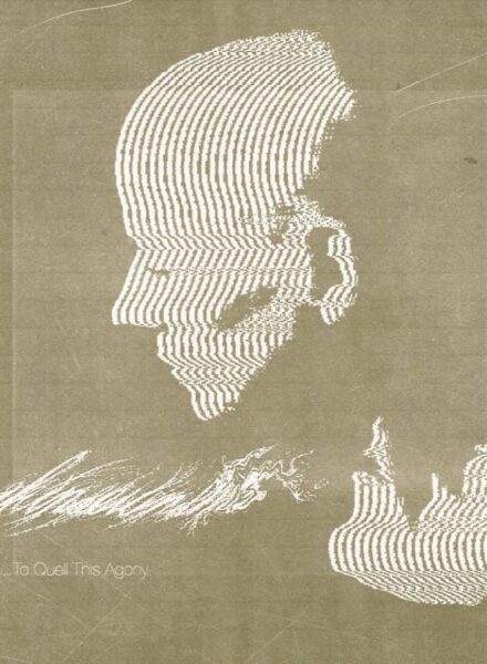 skinsewnshut - to quell this ache cover art