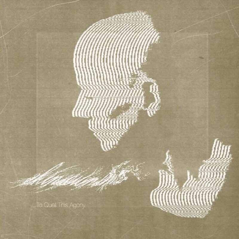 skinsewnshut - to quell this ache cover art