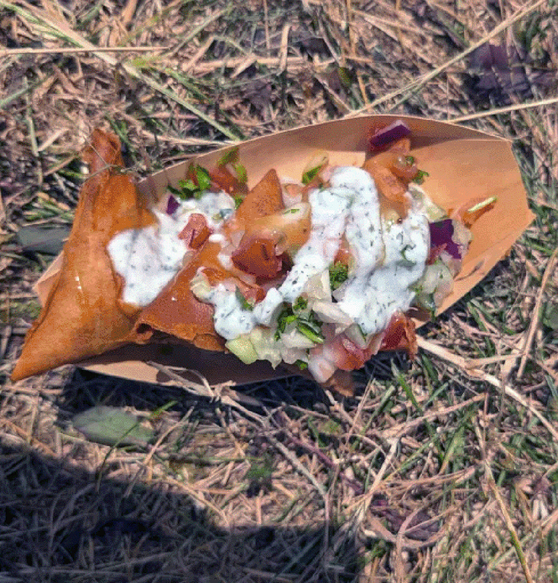 Three veg samosas with salad and minty yoghurt from Curry Bae at 2000trees